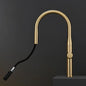 MAJESTIC Brushed Gold Pull-out Kitchen Mixer